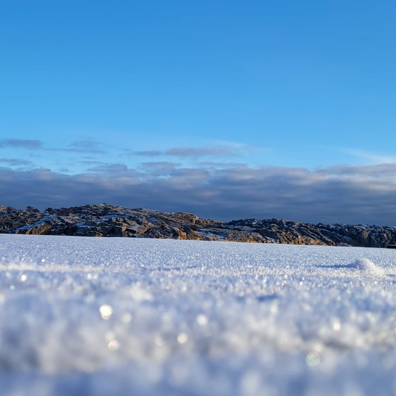 Lugn i juletid 2 Skapa lugn i juletid med att gå ut i naturen Blogg på hemsidan