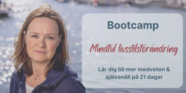 Bootcamp 21 dagar Mindful Livsstilsförändring