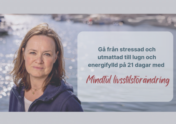 Gå från stressad och utmattad. Bootcamp på hemsidan